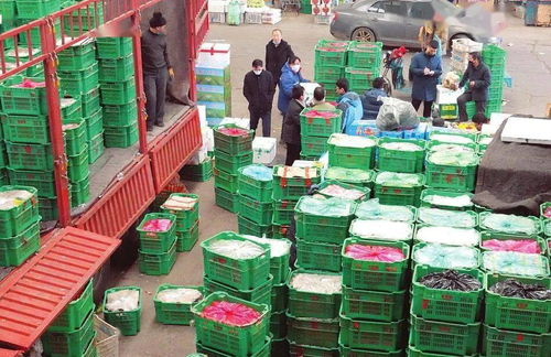 太原河西農副產品市場 菜籃子貨豐價穩，保障民生供給