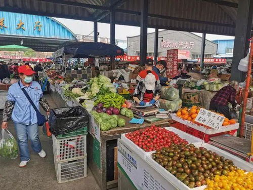 雙峪農副產品批發市場 筑牢疫情防線，守護百姓“菜籃子”安全