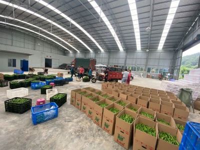 孫傳榮 走出產業融合發展之路，農副產品的創新與突破