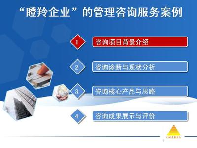 瞪羚企業(yè)咨詢(xún)案例解析 2014年企業(yè)管理優(yōu)化實(shí)踐